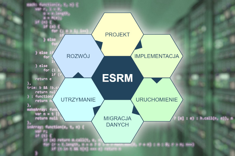 Zaprojektowanie i budowa systemu ESRM w Ministerstwie Rozwoju, Pracy i Technologii