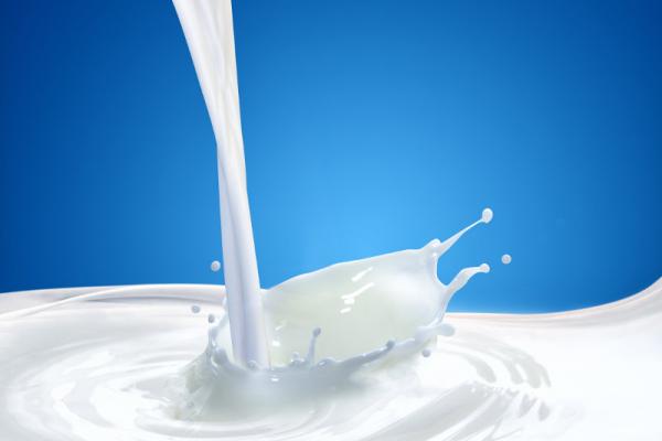 Systemy dla branży mleczarskiej